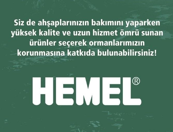 Tahtaya Neden Vernik Atılır